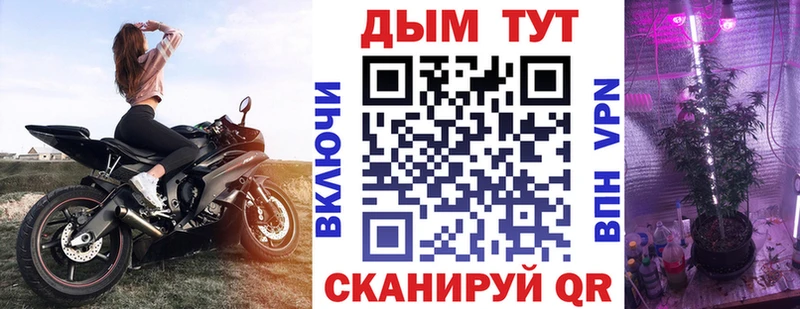 Купить закладки  Динская  Каннабис LSD WEED 